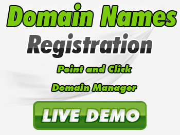 Budget domain name registration service providers